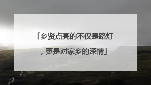 乡贤点亮的不仅是路灯，更是对家乡的深情