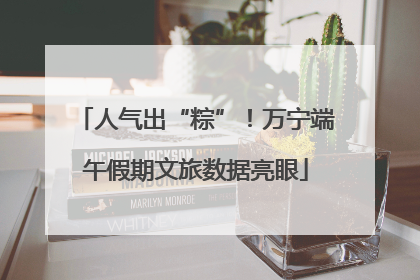 人气出“粽”！万宁端午假期文旅数据亮眼