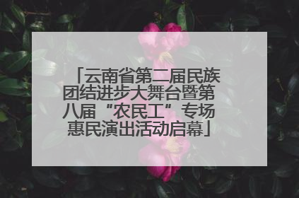 云南省第二届民族团结进步大舞台暨第八届“农民工”专场惠民演出活动启幕