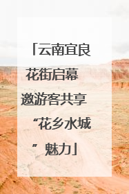 云南宜良花街启幕 邀游客共享“花乡水城”魅力
