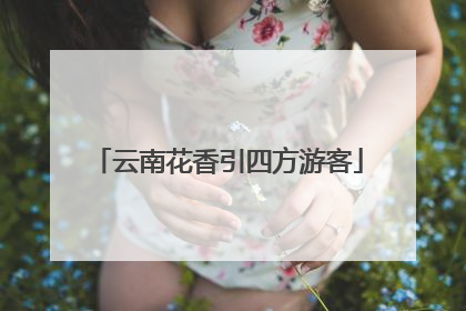云南花香引四方游客