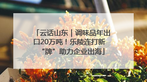 云话山东｜调味品年出口20万吨！乐陵连打新“牌”助力企业出海