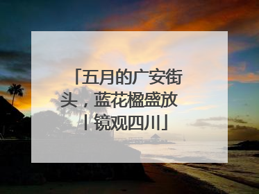 五月的广安街头，蓝花楹盛放丨镜观四川