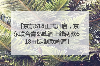 京东618正式开启，京东联合青岛啤酒上线两款618ml定制款啤酒