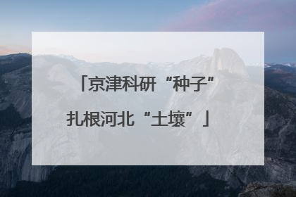 京津科研“种子”扎根河北“土壤”