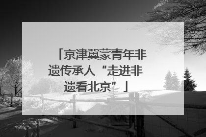 京津冀蒙青年非遗传承人“走进非遗看北京”