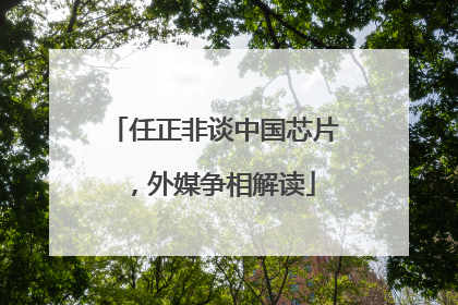任正非谈中国芯片，外媒争相解读