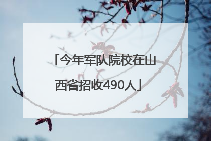 今年军队院校在山西省招收490人