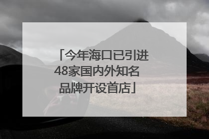 今年海口已引进48家国内外知名品牌开设首店