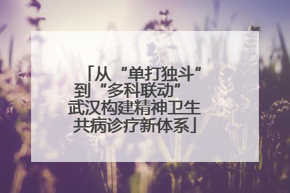 从“单打独斗”到“多科联动” 武汉构建精神卫生共病诊疗新体系