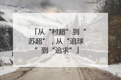 从“村超”到“苏超”，从“追球”到“追求”