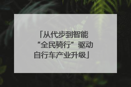 从代步到智能 “全民骑行”驱动自行车产业升级
