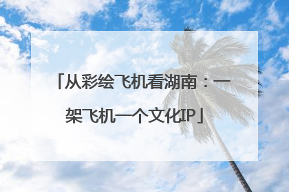 从彩绘飞机看湖南：一架飞机一个文化IP
