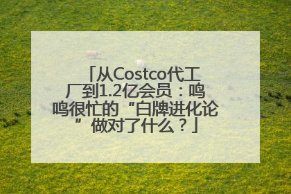 从Costco代工厂到1.2亿会员：鸣鸣很忙的“白牌进化论”做对了什么？