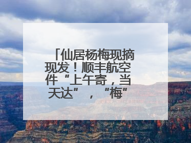 仙居杨梅现摘现发！顺丰航空件“上午寄，当天达”，“梅”好送到家！