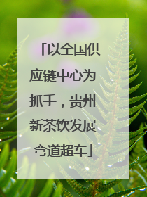 以全国供应链中心为抓手，贵州新茶饮发展弯道超车