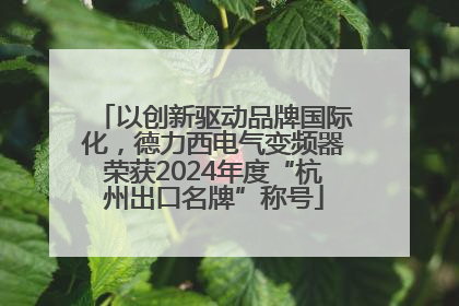 以创新驱动品牌国际化，德力西电气变频器荣获2024年度“杭州出口名牌”称号