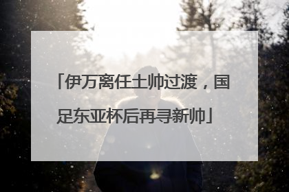 伊万离任土帅过渡，国足东亚杯后再寻新帅