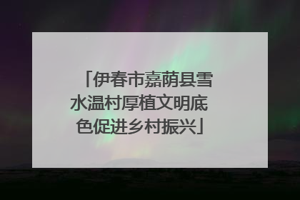 伊春市嘉荫县雪水温村厚植文明底色促进乡村振兴