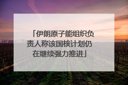 伊朗原子能组织负责人称该国核计划仍在继续强力推进