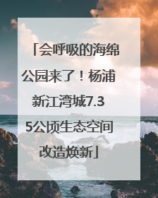 会呼吸的海绵公园来了！杨浦新江湾城7.35公顷生态空间改造焕新