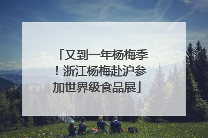 又到一年杨梅季！浙江杨梅赴沪参加世界级食品展
