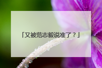 又被范志毅说准了？
