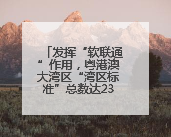 发挥“软联通”作用，粤港澳大湾区“湾区标准”总数达235项