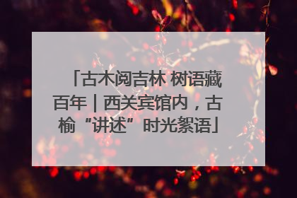 古木阅吉林 树语藏百年｜西关宾馆内，古榆“讲述”时光絮语