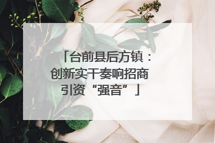 台前县后方镇：创新实干奏响招商引资“强音”