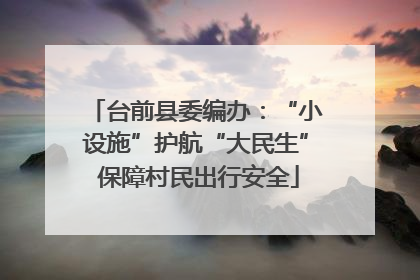 台前县委编办：“小设施”护航“大民生” 保障村民出行安全