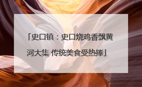 史口镇：史口烧鸡香飘黄河大集 传统美食受热捧