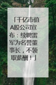 千亿市值A股公司宣布：续聘雷军为名誉董事长，不领取薪酬！