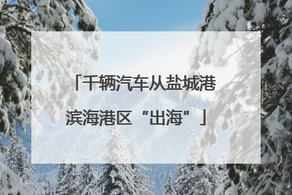千辆汽车从盐城港滨海港区“出海”