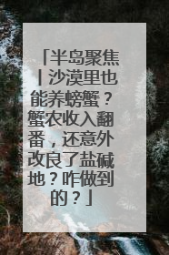 半岛聚焦丨沙漠里也能养螃蟹？蟹农收入翻番，还意外改良了盐碱地？咋做到的？