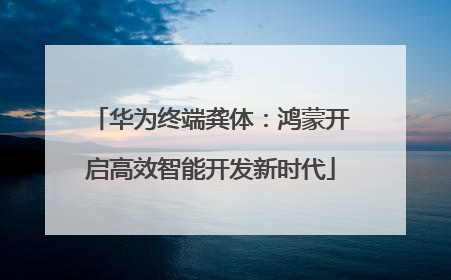 华为终端龚体：鸿蒙开启高效智能开发新时代