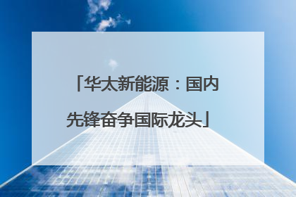 华太新能源：国内先锋奋争国际龙头