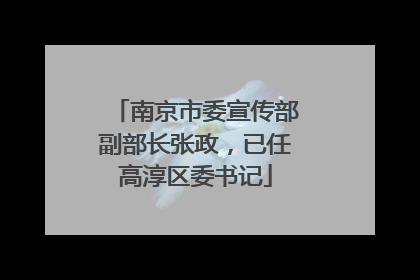 南京市委宣传部副部长张政，已任高淳区委书记