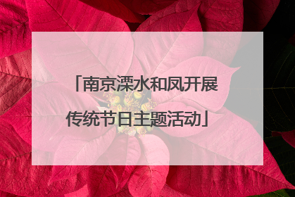 南京溧水和凤开展传统节日主题活动