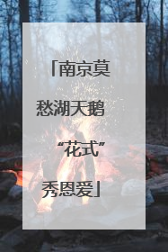 南京莫愁湖天鹅“花式”秀恩爱