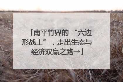 南平竹界的 “六边形战士”，走出生态与经济双赢之路→
