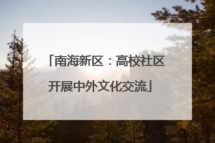 南海新区：高校社区开展中外文化交流