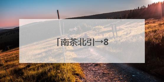 南茶北引→8亩荒地变茶园