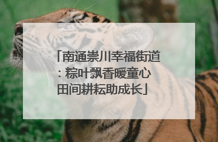 南通崇川幸福街道：粽叶飘香暖童心 田间耕耘助成长
