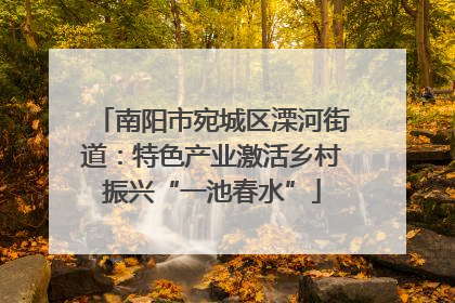 南阳市宛城区溧河街道：特色产业激活乡村振兴“一池春水”