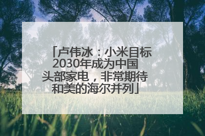 卢伟冰：小米目标2030年成为中国头部家电，非常期待和美的海尔并列