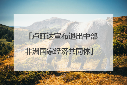 卢旺达宣布退出中部非洲国家经济共同体
