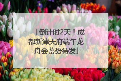 倒计时2天！成都新津天府端午龙舟会蓄势待发
