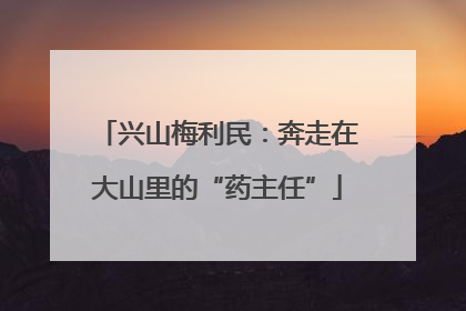 兴山梅利民：奔走在大山里的“药主任”