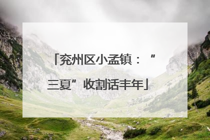兖州区小孟镇：“三夏”收割话丰年